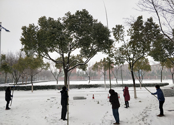 扫冰除雪  展党员风采——电子通信工程学院党总支开展义务除雪活动